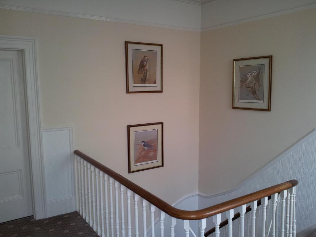 Hotel Mulberry House Torquay Zewnętrze zdjęcie